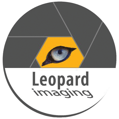 Leopard Imaging Inc. Logo